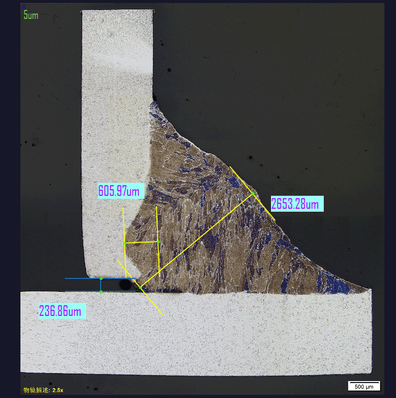 WPM Software Interface